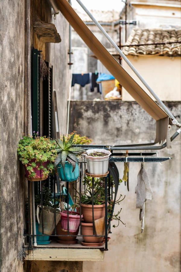 Retro Corfiot Junior @ Old Town Corfu (city)